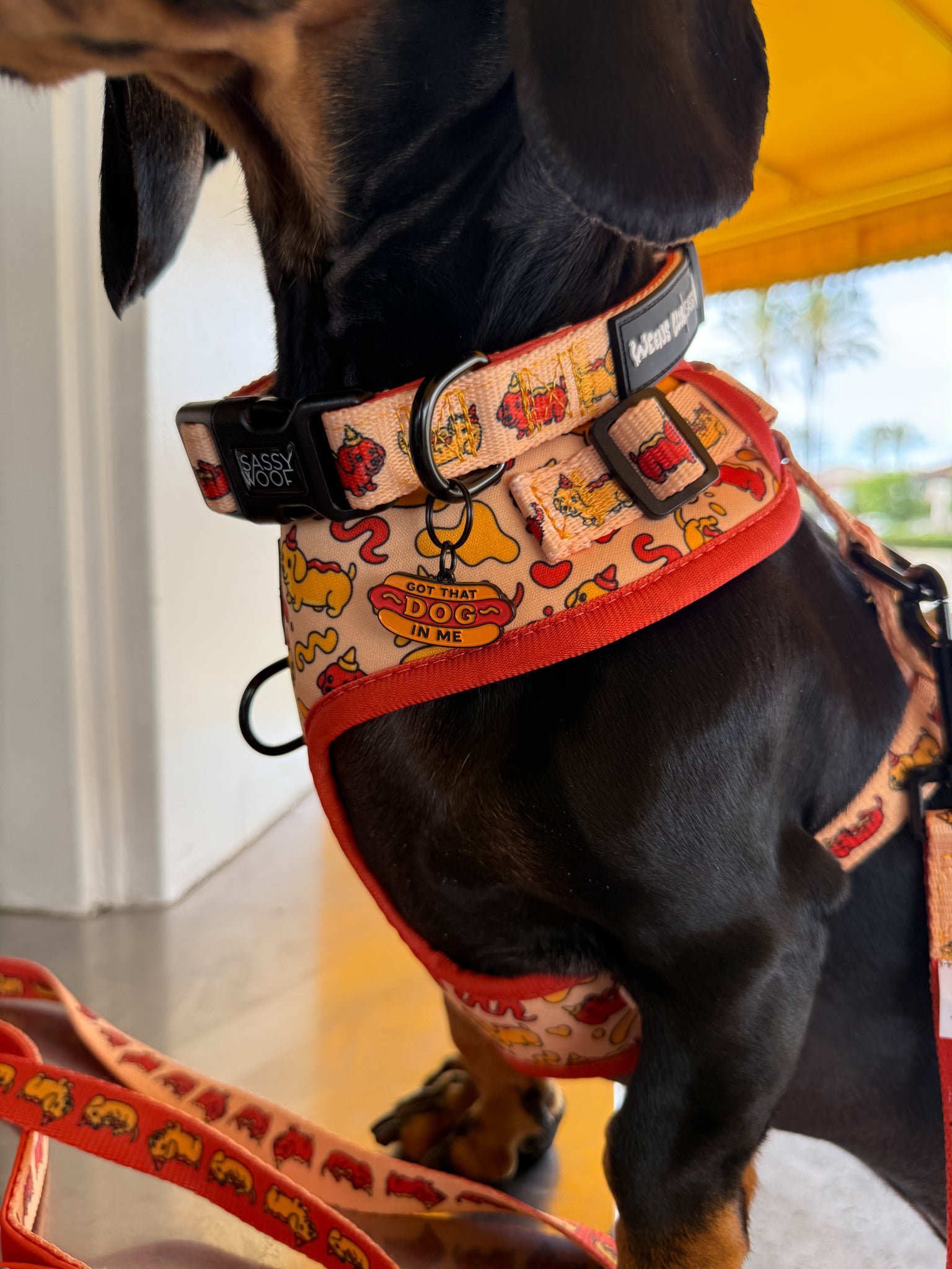 INFLUENCER_CONTENT | HAUSOFODOXIES | SIZE XS