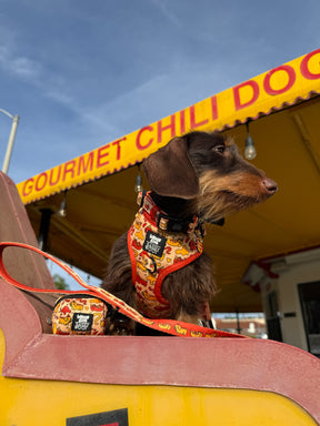 INFLUENCER_CONTENT | HAUSOFODOXIES | SIZE XS