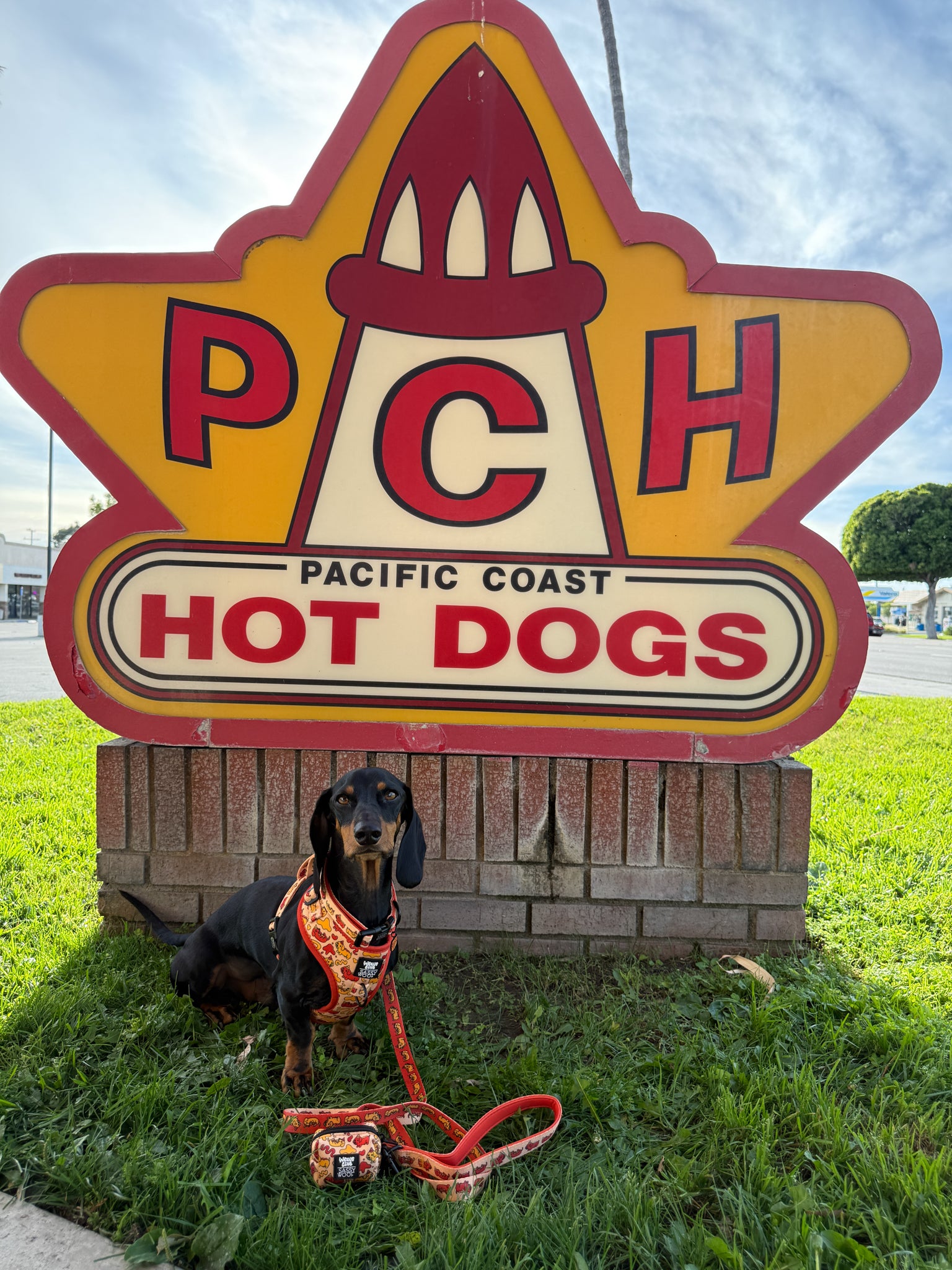 INFLUENCER_CONTENT | HAUSOFODOXIES | SIZE XS