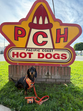 INFLUENCER_CONTENT | HAUSOFODOXIES | SIZE XS