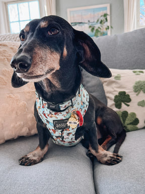 INFLUENCER_CONTENT | @HENLEY_THE_HOTDOG | SIZE S