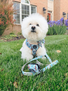 INFLUENCER_CONTENT | @KRISPYKREMETHEBICHON | SIZE S