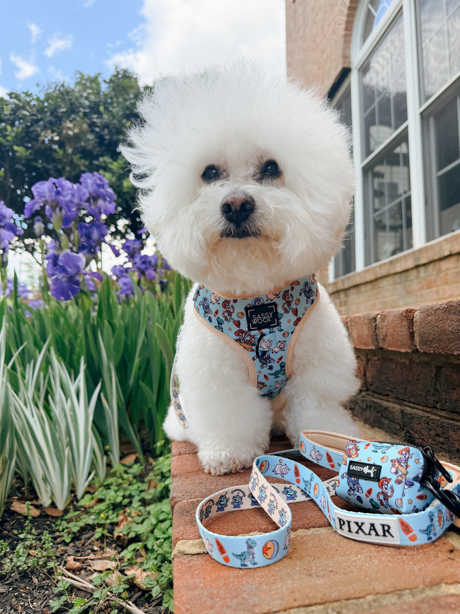 INFLUENCER_CONTENT | @KRISPYKREMETHEBICHON | SIZE S
