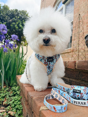 INFLUENCER_CONTENT | @KRISPYKREMETHEBICHON | SIZE S