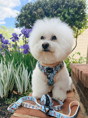 INFLUENCER_CONTENT | @KRISPYKREMETHEBICHON | SIZE S