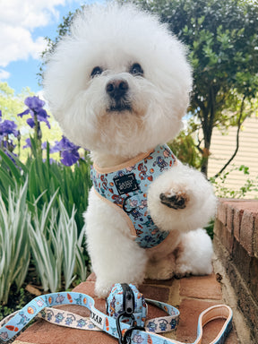 INFLUENCER_CONTENT | @KRISPYKREMETHEBICHON | SIZE S