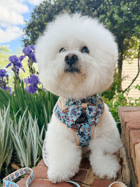 INFLUENCER_CONTENT | @KRISPYKREMETHEBICHON | SIZE S