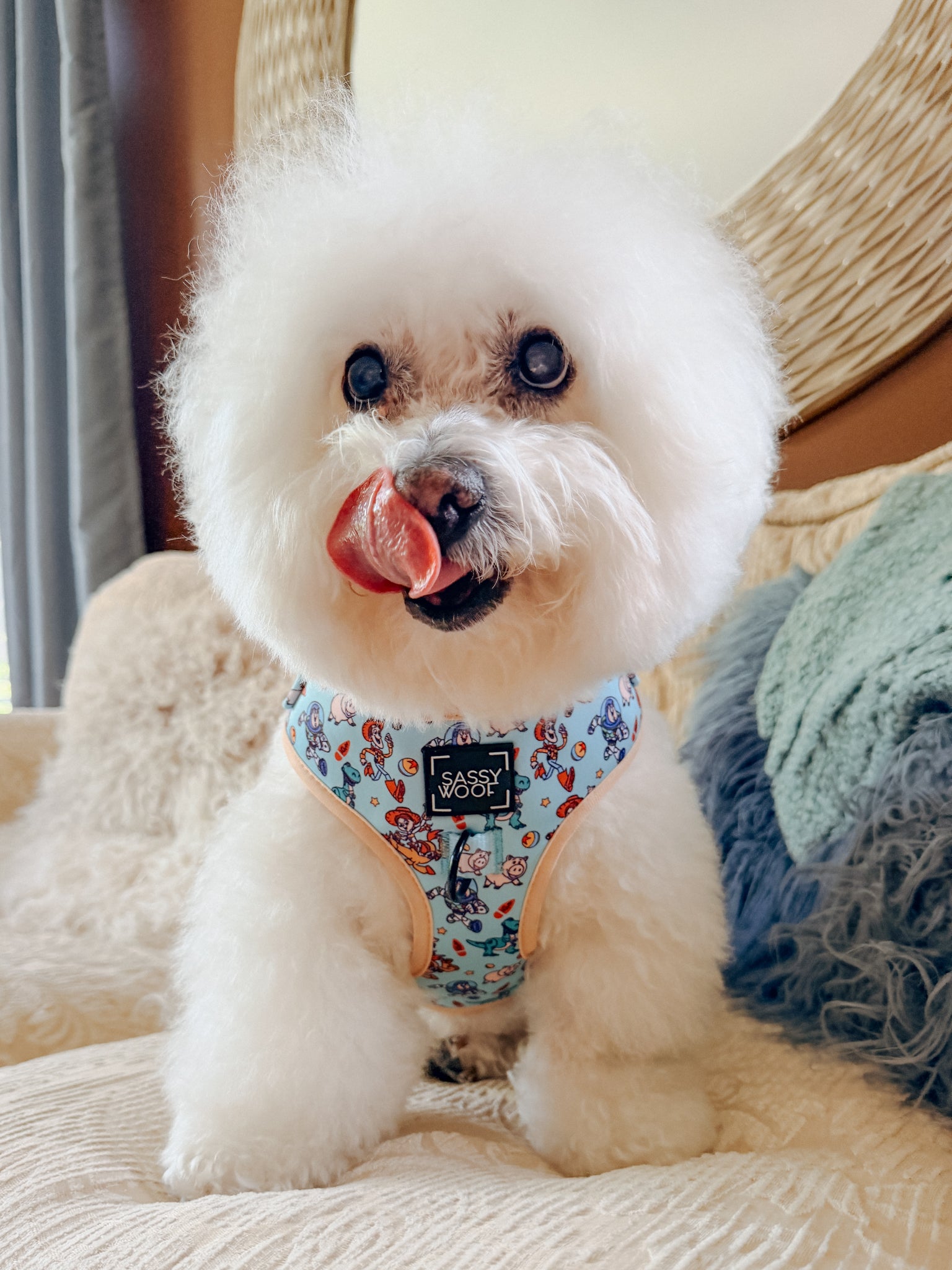 INFLUENCER_CONTENT | @KRISPYKREMETHEBICHON | SIZE S
