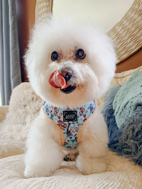 INFLUENCER_CONTENT | @KRISPYKREMETHEBICHON | SIZE S