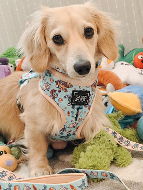 INFLUENCER_CONTENT | @LEOTHELONGSAUSAGE | SIZE XS