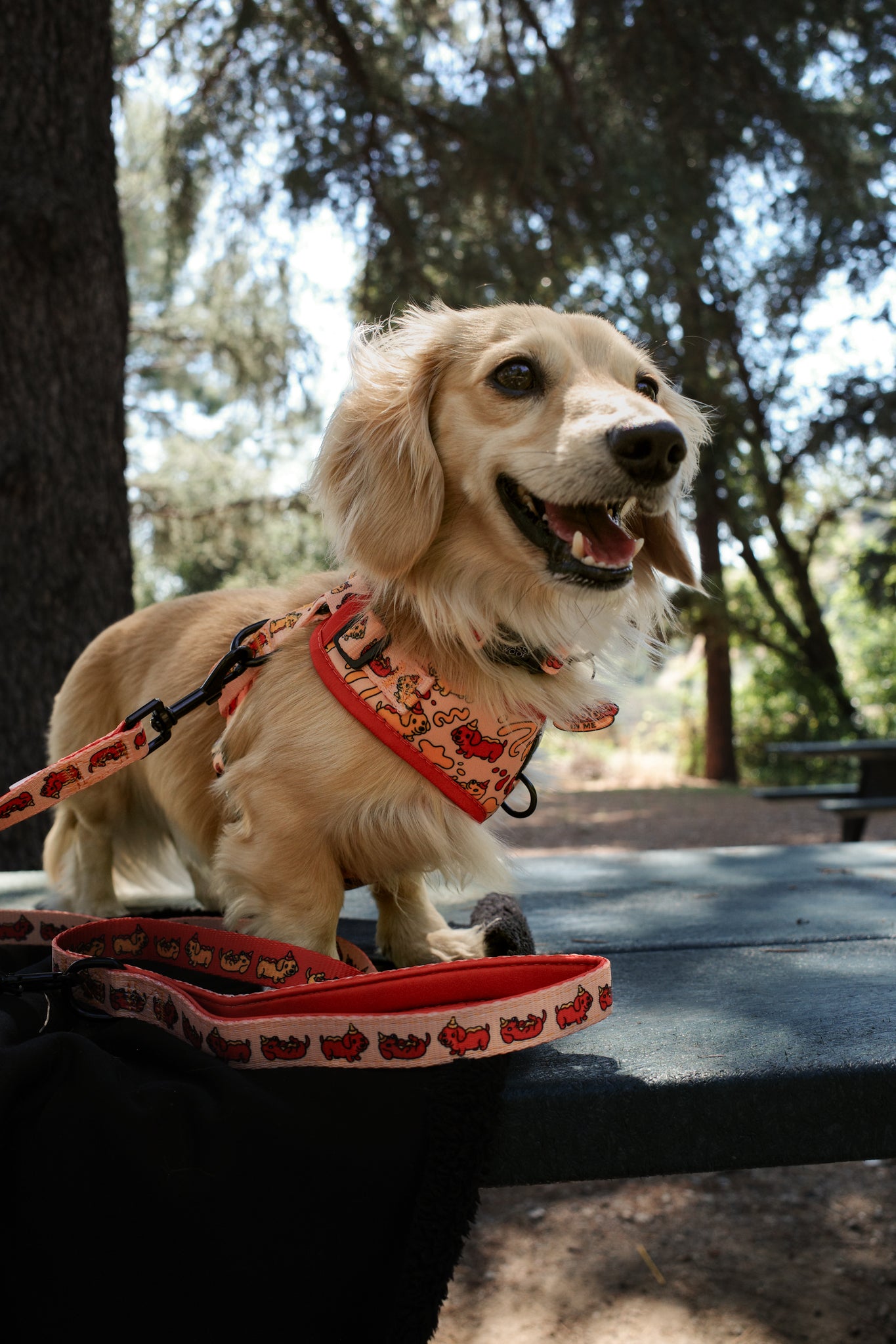 INFLUENCER_CONTENT | LEOTHELONGSAUSAGE | SIZE XS