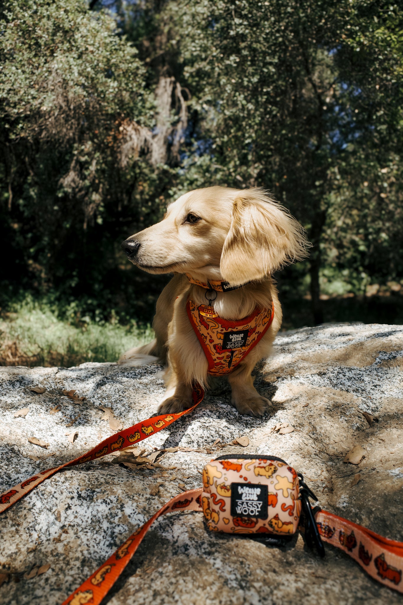 INFLUENCER_CONTENT | LEOTHELONGSAUSAGE | SIZE XS