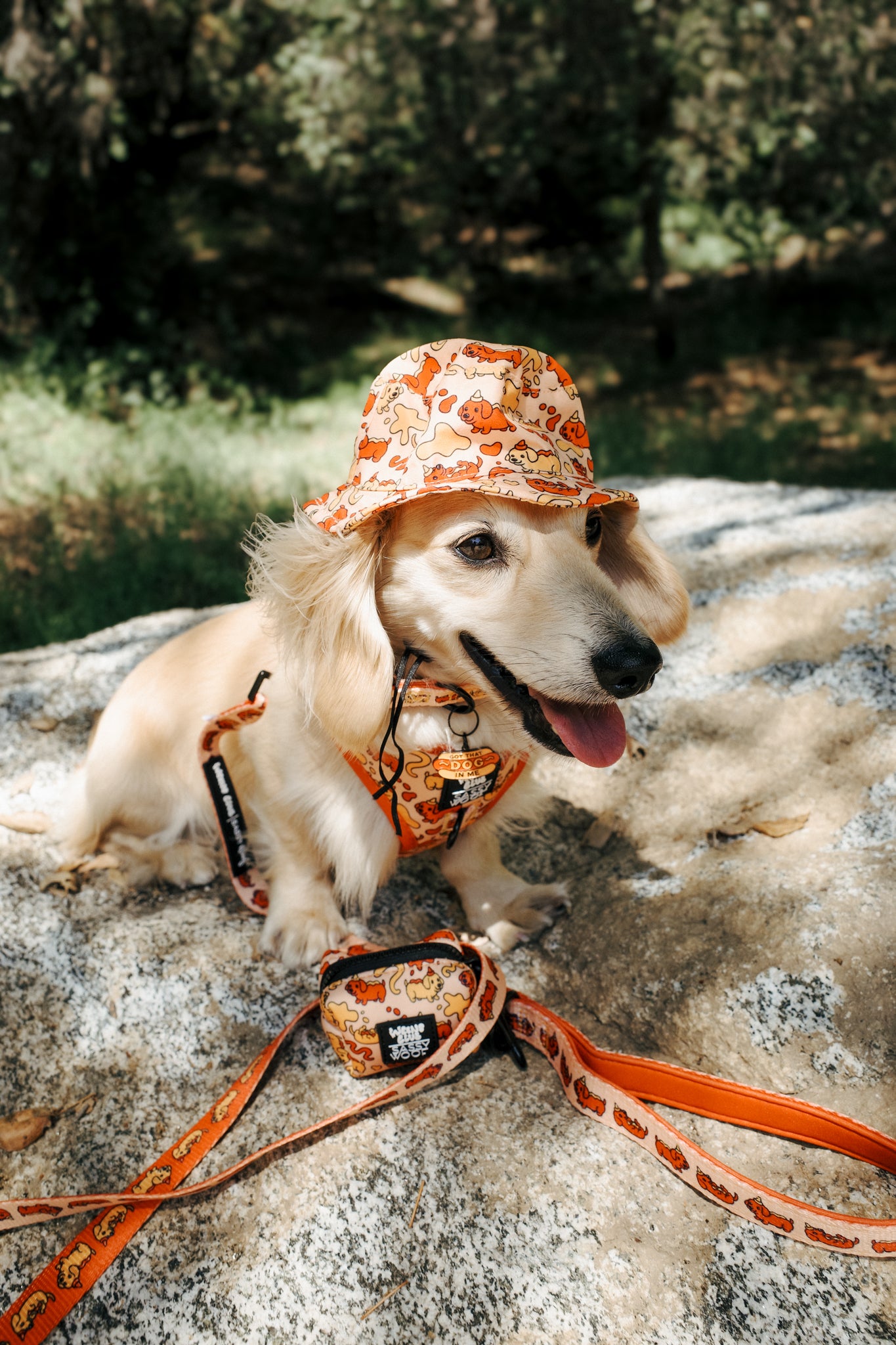 INFLUENCER_CONTENT | LEOTHELONGSAUSAGE | SIZE XS