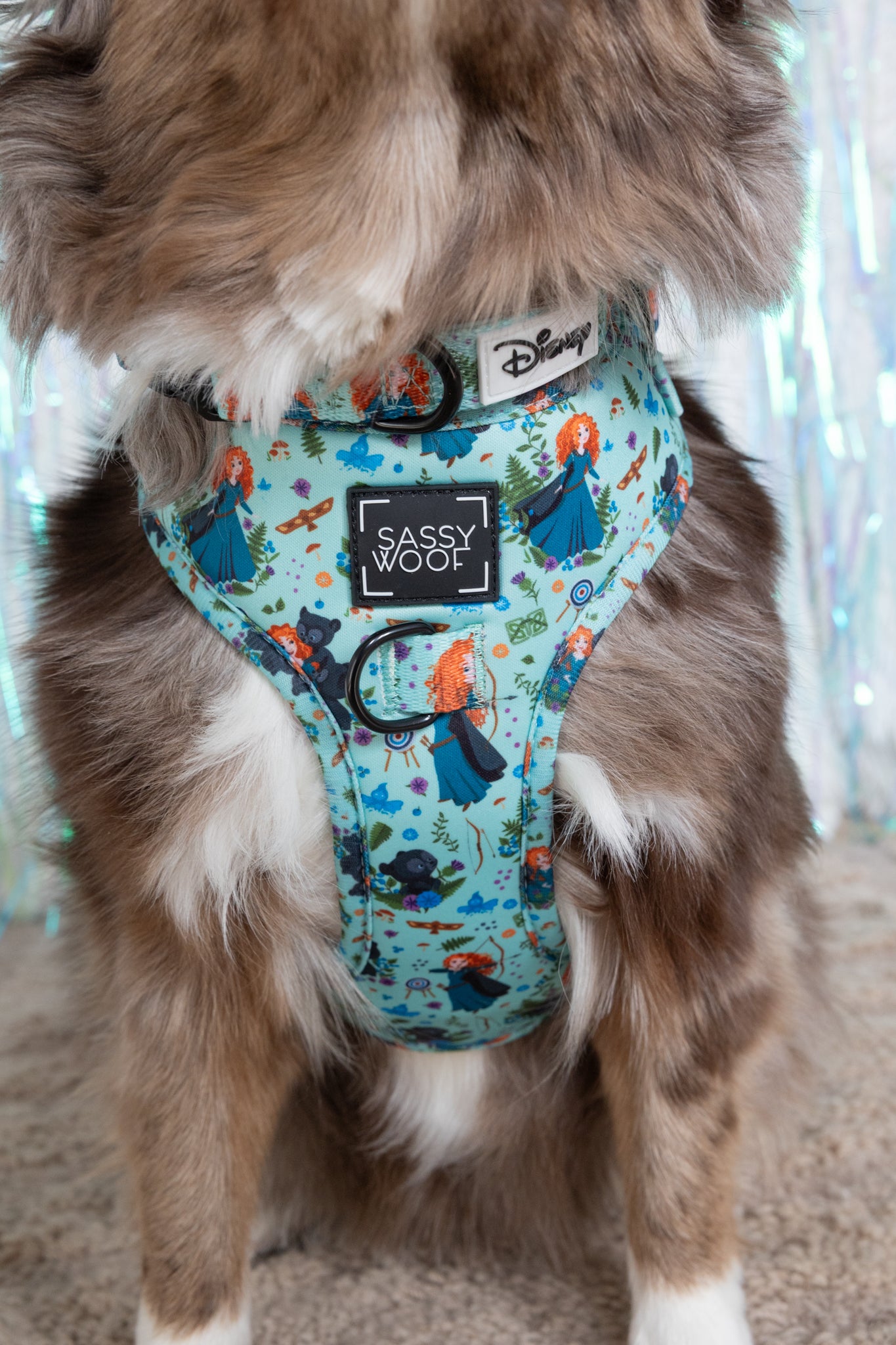 INFLUENCER_CONTENT | @LOVEMAYALIFE | COLLAR & HARNESS SIZE: M