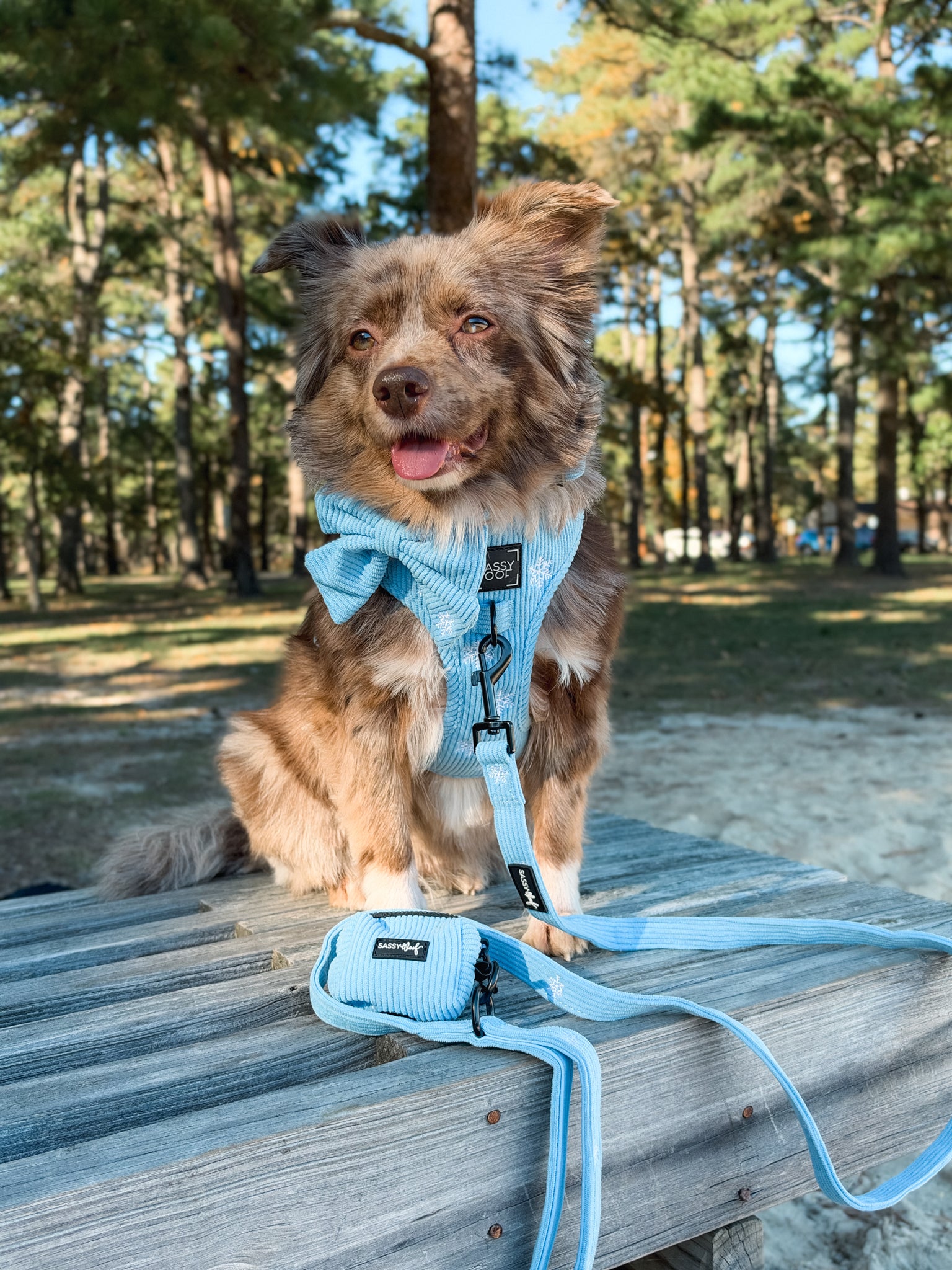 INFLUENCER_CONTENT | @LOVEMAYALIFE | HARNESS SIZE: M, COLLAR SIZE: M
