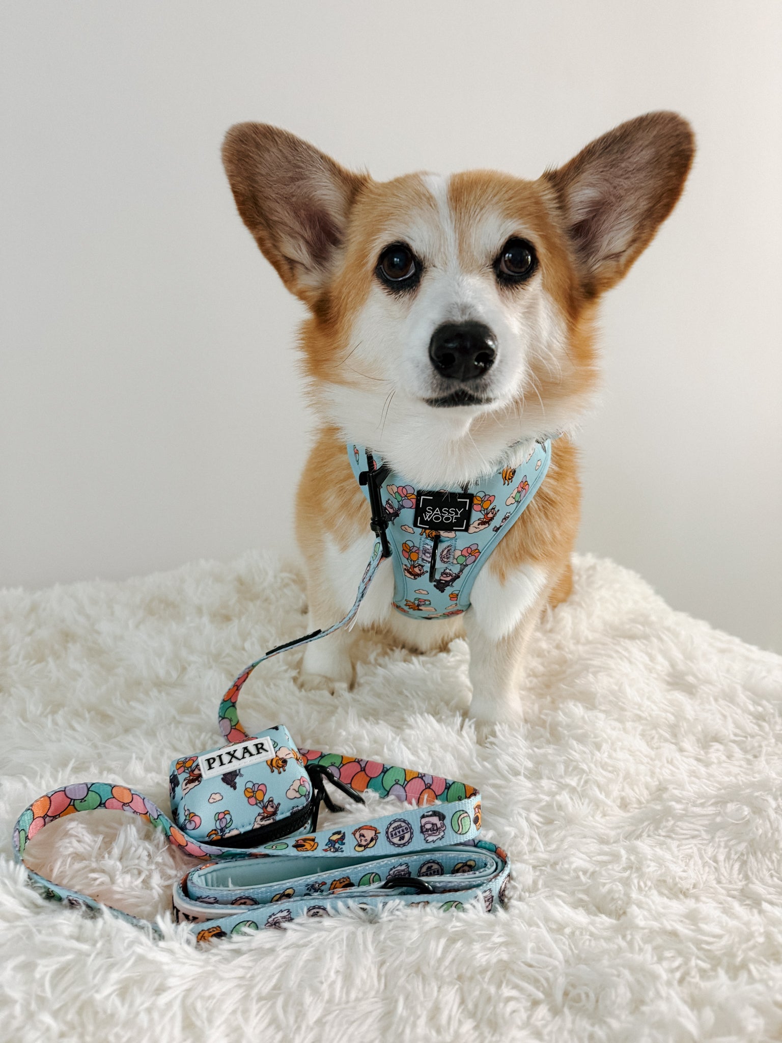 INFLUENCER_CONTENT | @LULUANDJAKETHECORGIS | SIZE M