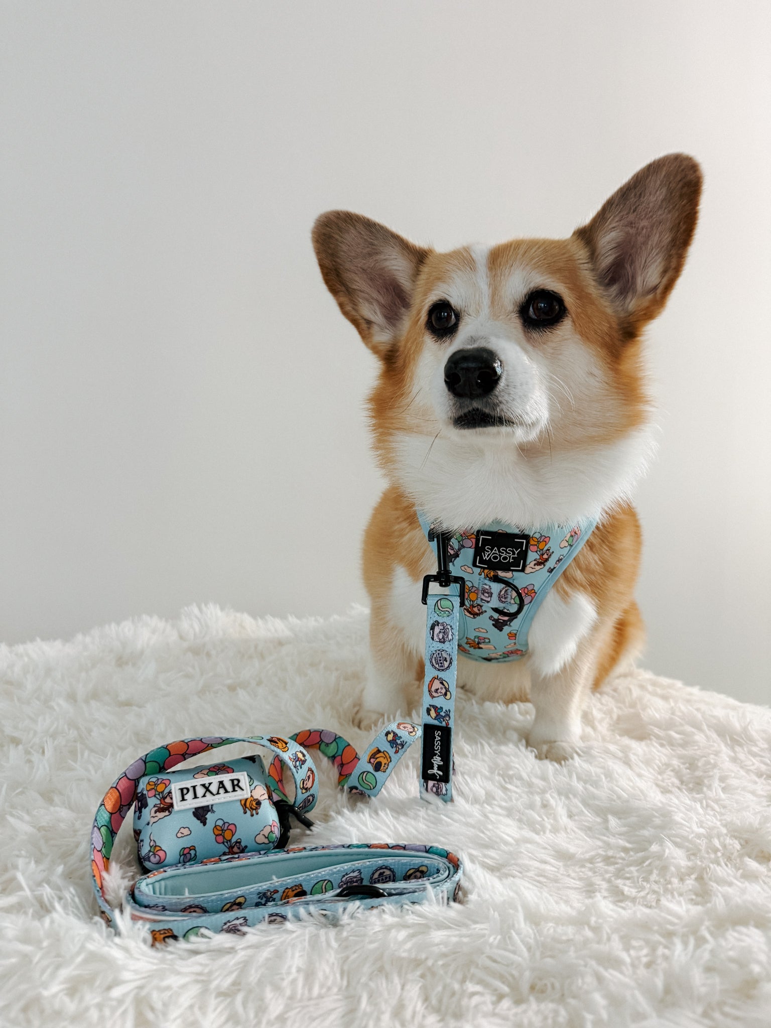 INFLUENCER_CONTENT | @LULUANDJAKETHECORGIS | SIZE M