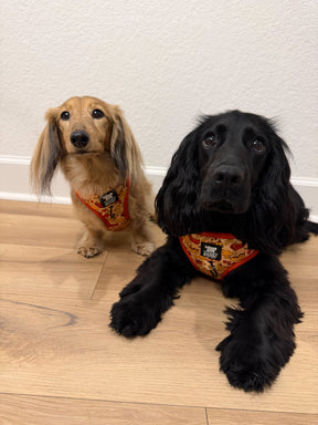 INFLUENCER_CONTENT | @MAGGIE.THE.DOXIE | SIZE XS