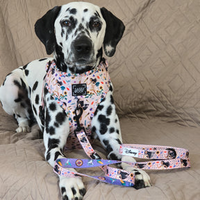 INFLUENCER_CONTENT | @MANCHASTHEDAL | COLLAR SIZE M & HARNESS SIZE: L