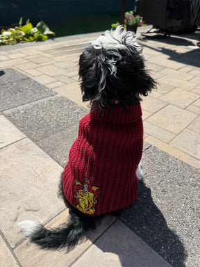 INFLUENCER_CONTENT | @MATILDAROSEGOLDENDOODLE | SIZE: M