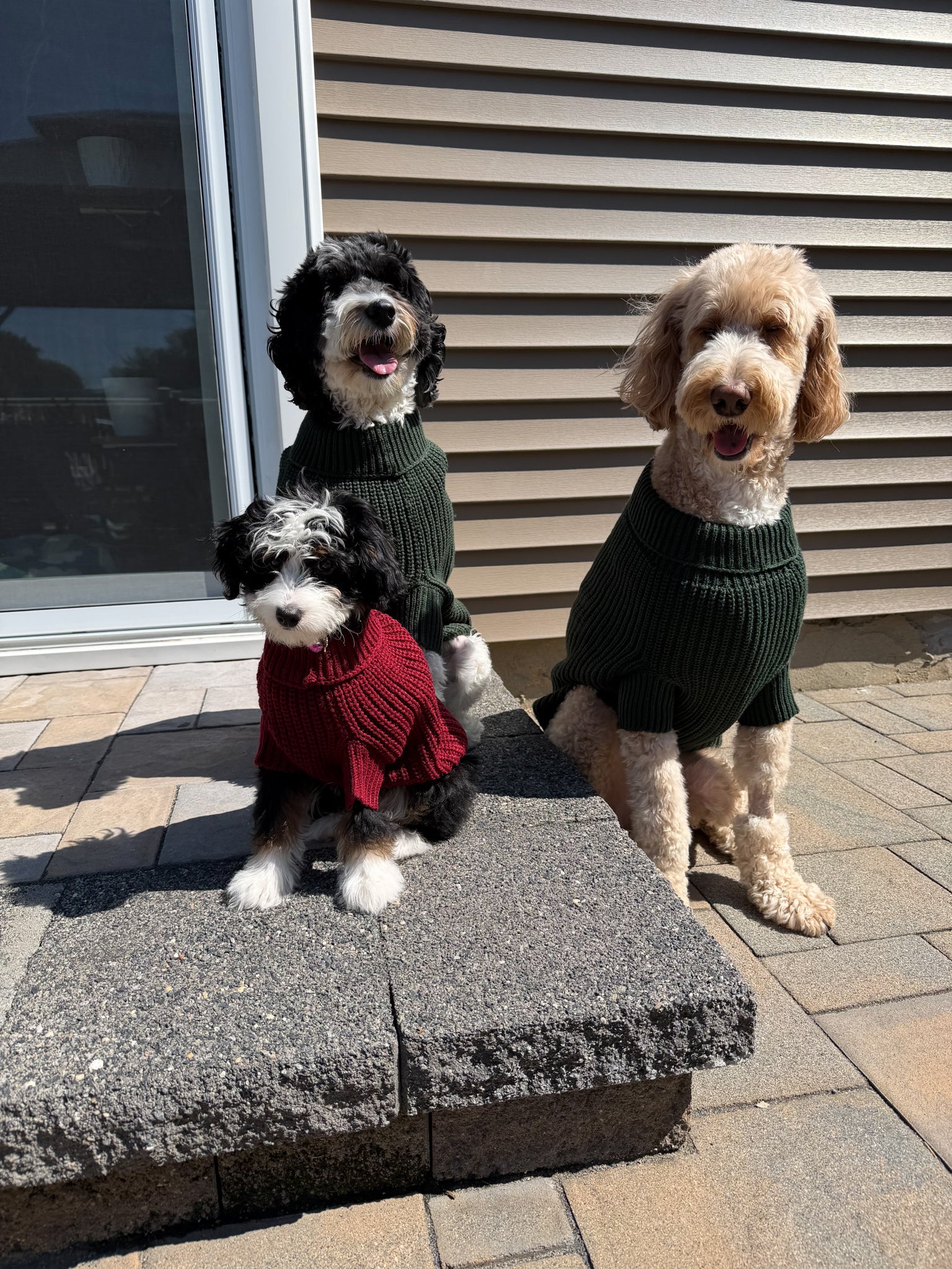 INFLUENCER_CONTENT | @MATILDAROSEGOLDENDOODLE | SIZE: M & XXL
