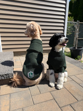 INFLUENCER_CONTENT | @MATILDAROSEGOLDENDOODLE | SIZE: XXL