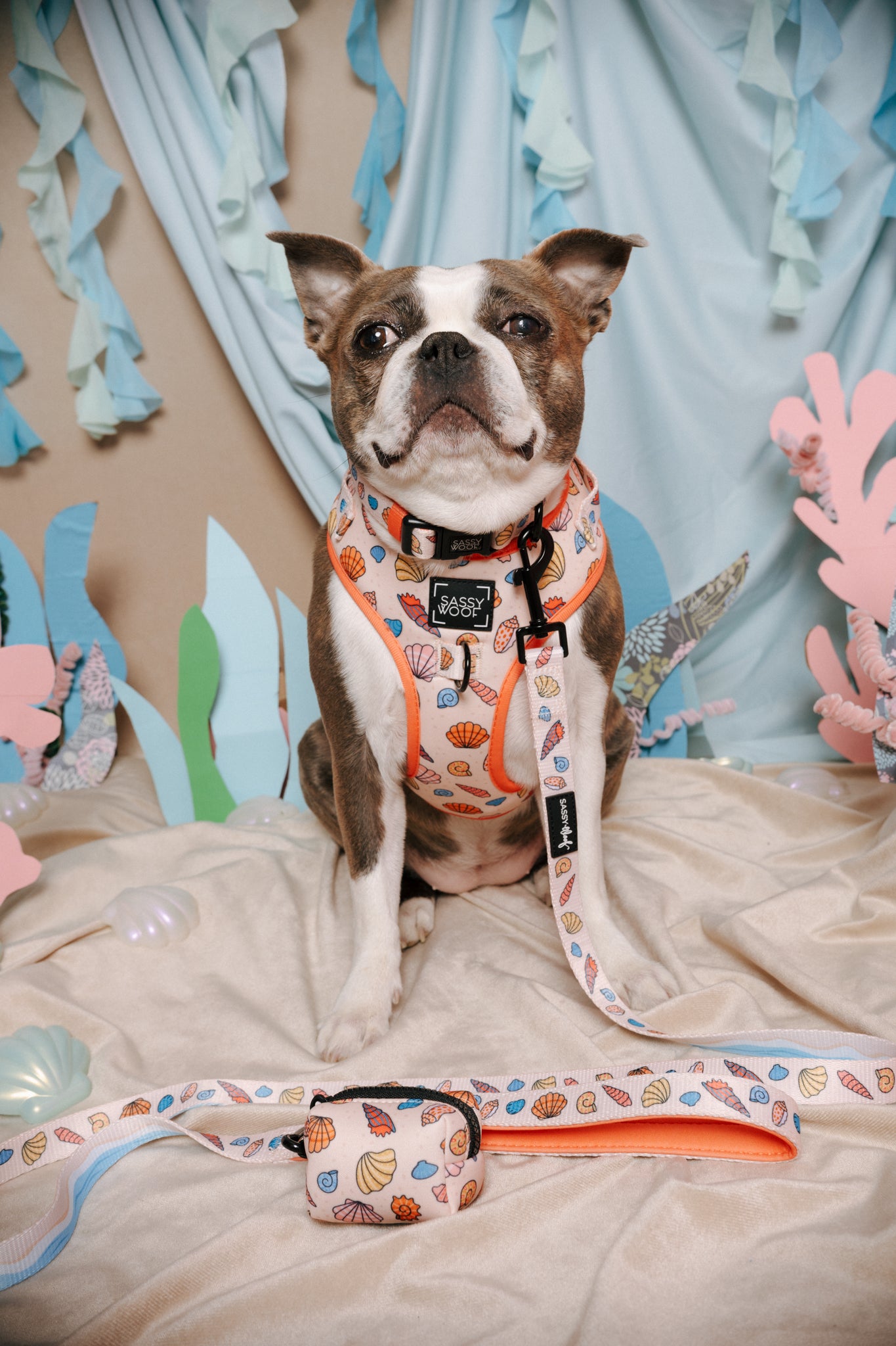 INFLUENCER_CONTENT | @MAVIS_THEBLUEBOSTON | SIZE M