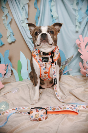 INFLUENCER_CONTENT | @MAVIS_THEBLUEBOSTON | SIZE M