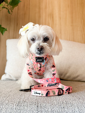 INFLUENCER_CONTENT | @MOCHI_THE_POO | COLLAR SIZE: S & HARNESS SIZE: XS
