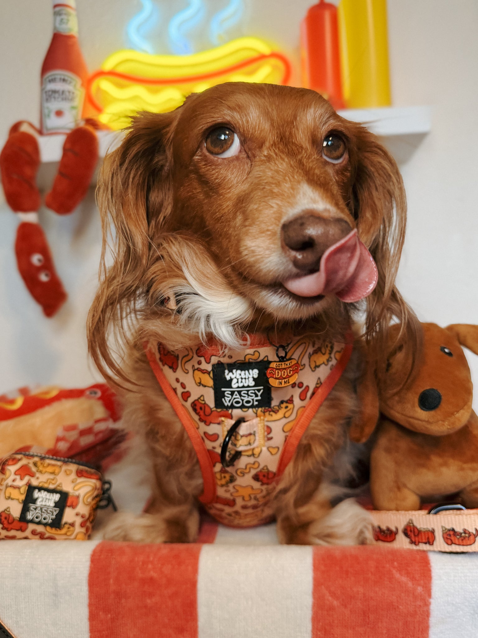 INFLUENCER_CONTENT | @ONECENTWEEN | SIZE S