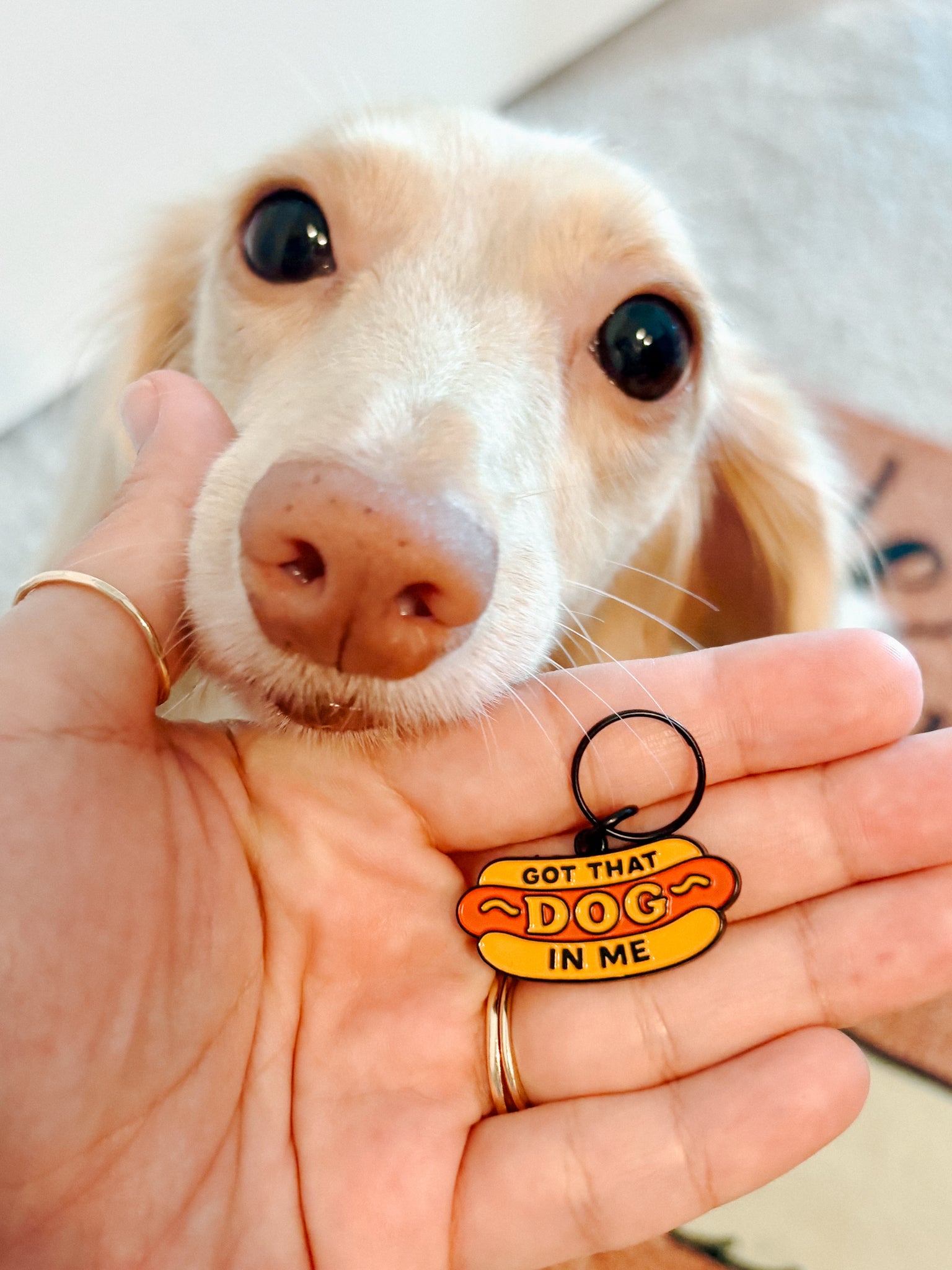 INFLUENCER_CONTENT | @PANKO.THE.DOX | SIZE XS