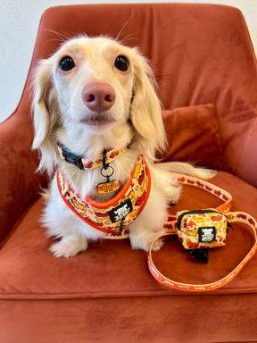 INFLUENCER_CONTENT | @PANKO.THE.DOX | SIZE XS