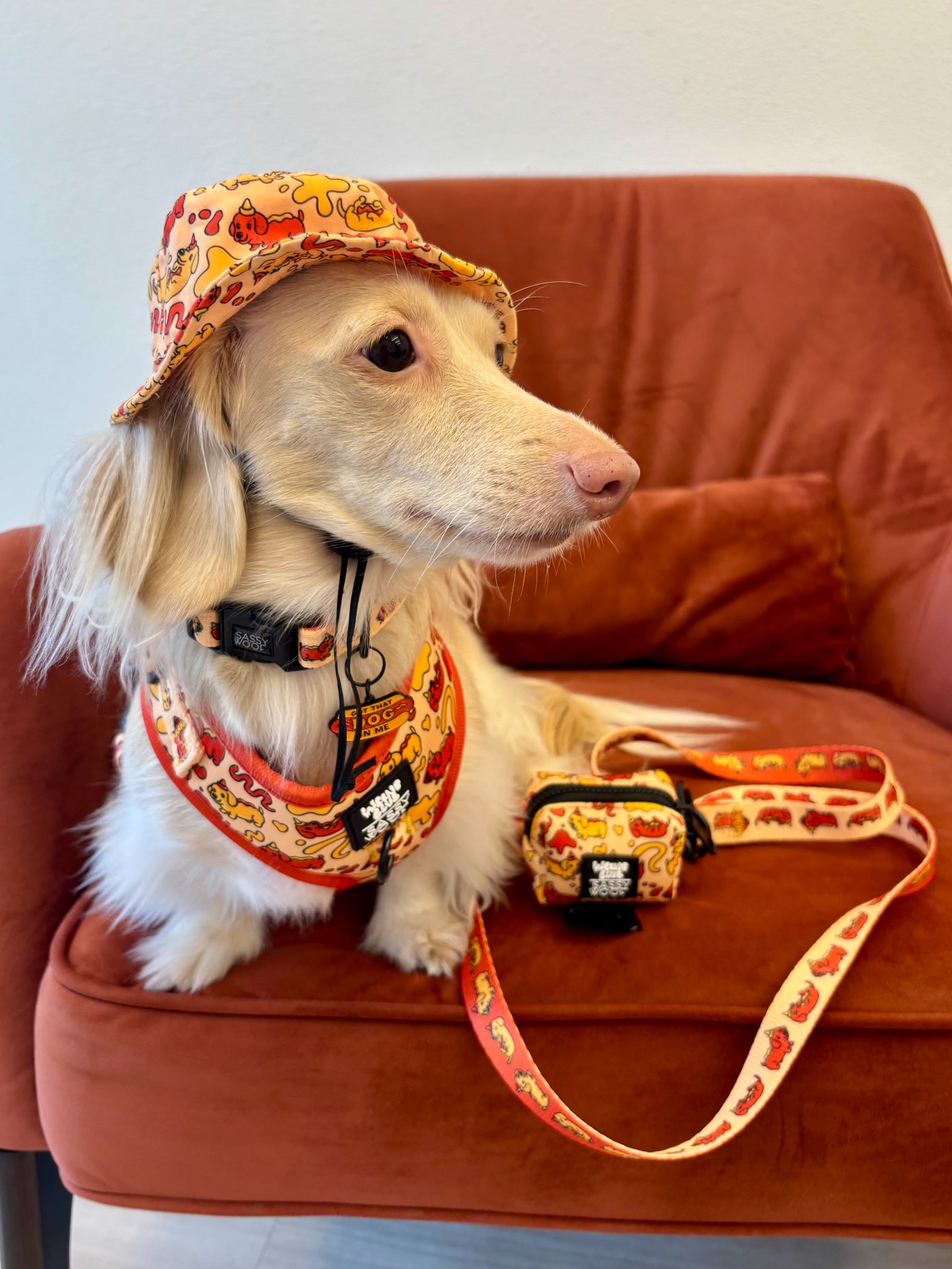 INFLUENCER_CONTENT | @PANKO.THE.DOX | SIZE XS