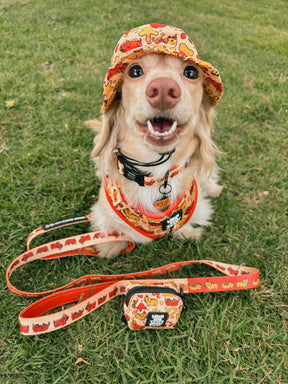 INFLUENCER_CONTENT | @PANKO.THE.DOX| SIZE XS