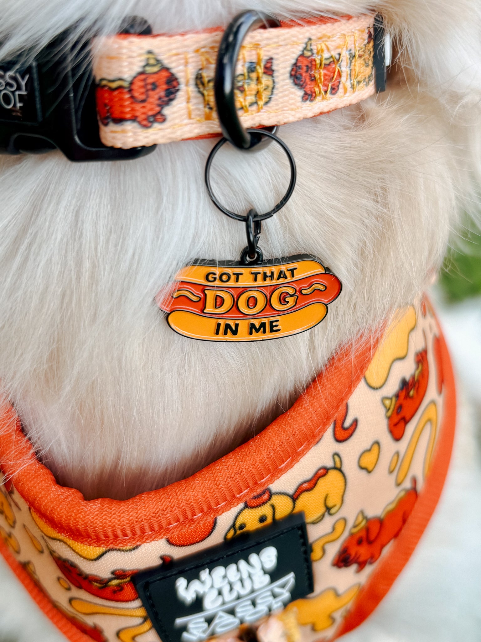 INFLUENCER_CONTENT | @PANKO.THE.DOX | SIZE XS