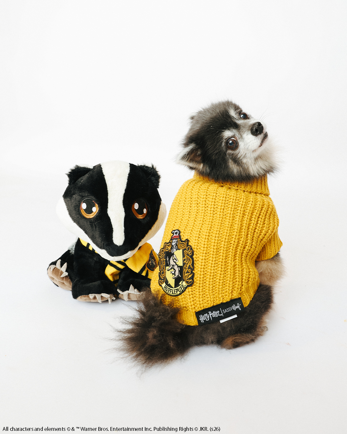 A small dog sits next to a plush badger, both facing the camera against a white background. The dog is wearing the Sassy Woof Pet Cable Knit Sweater - Harry Potter™ Hufflepuff, while the plush badger sports a matching yellow scarf.