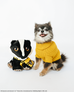 A small dog, dressed in the Sassy Woof Pet Cable Knit Sweater - Harry Potter™ Hufflepuff, sits beside a plush badger toy wearing a Hufflepuff scarf, both set against a white background.