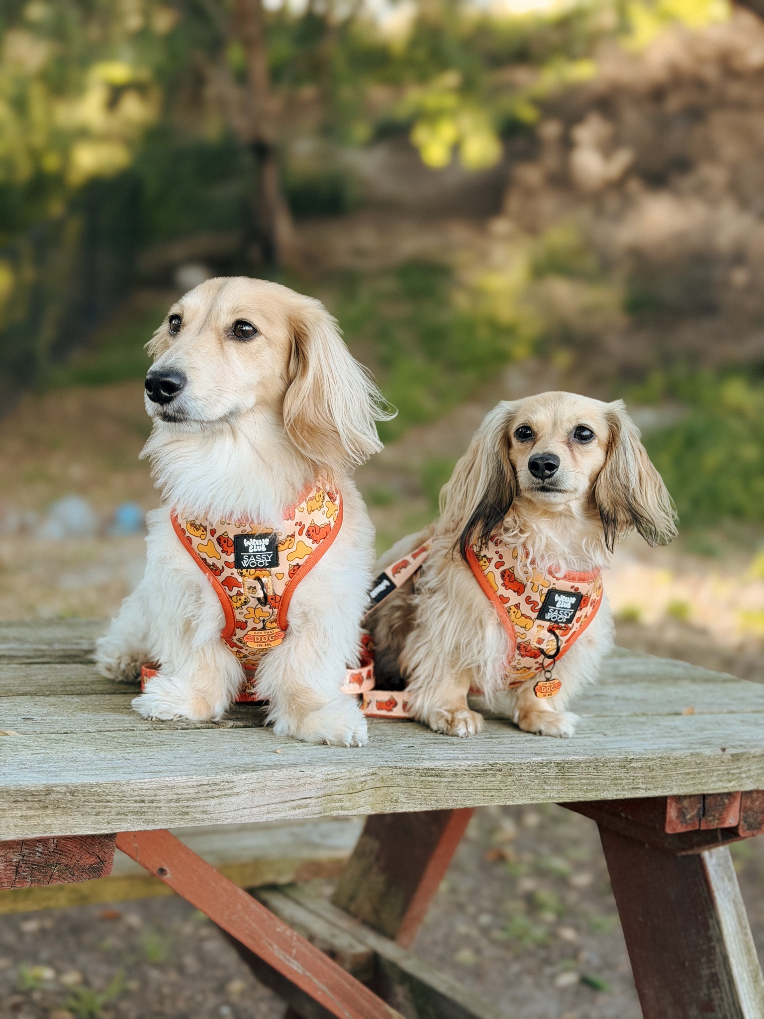 INFLUENCER_CONTENT | @POPPI.DOXIE | SIZE XS