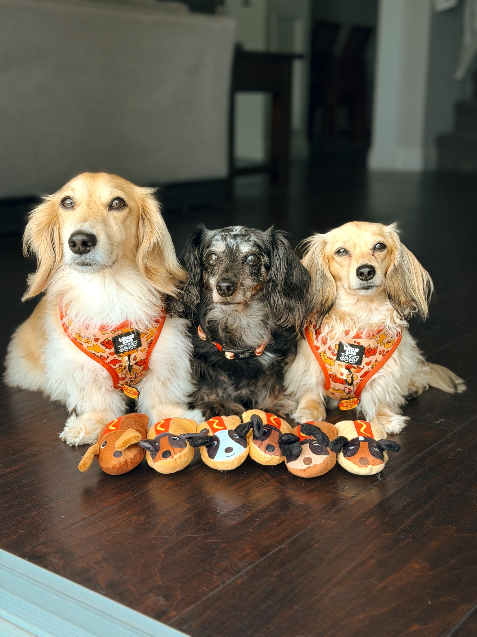 INFLUENCER_CONTENT | @POPPI.DOXIE | SIZE XS