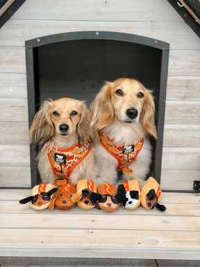 INFLUENCER_CONTENT | @POPPI.DOXIE | SIZE XS