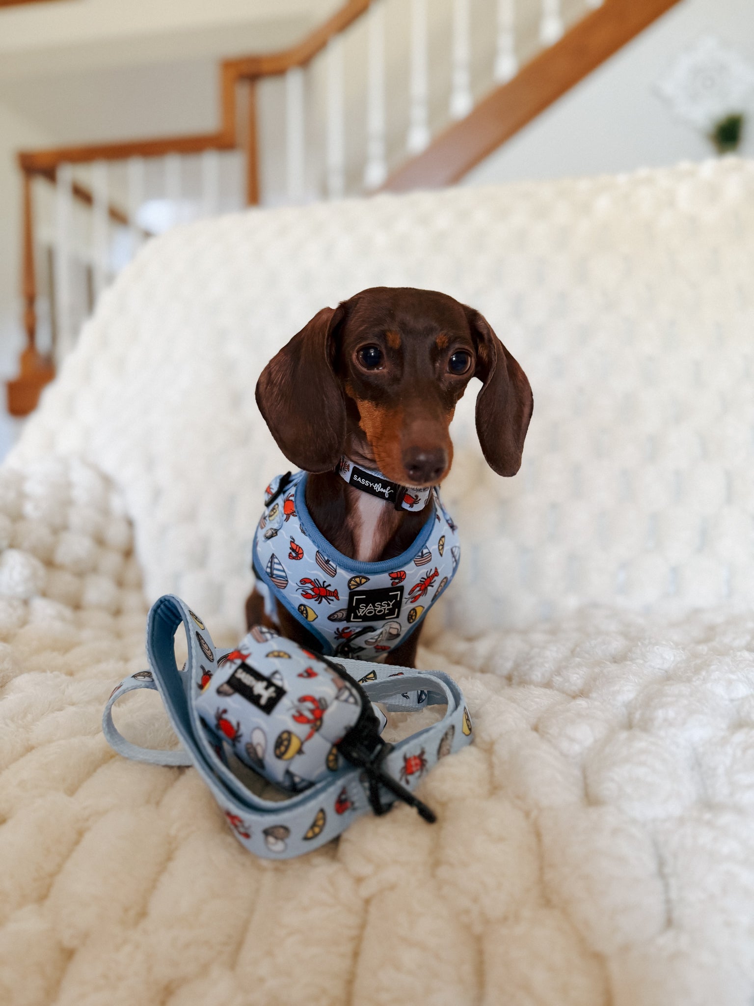 INFLUENCER_CONTENT | @POPPYTHEMINIDOXIEE | SIZE S