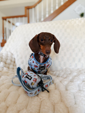 INFLUENCER_CONTENT | @POPPYTHEMINIDOXIEE | SIZE S
