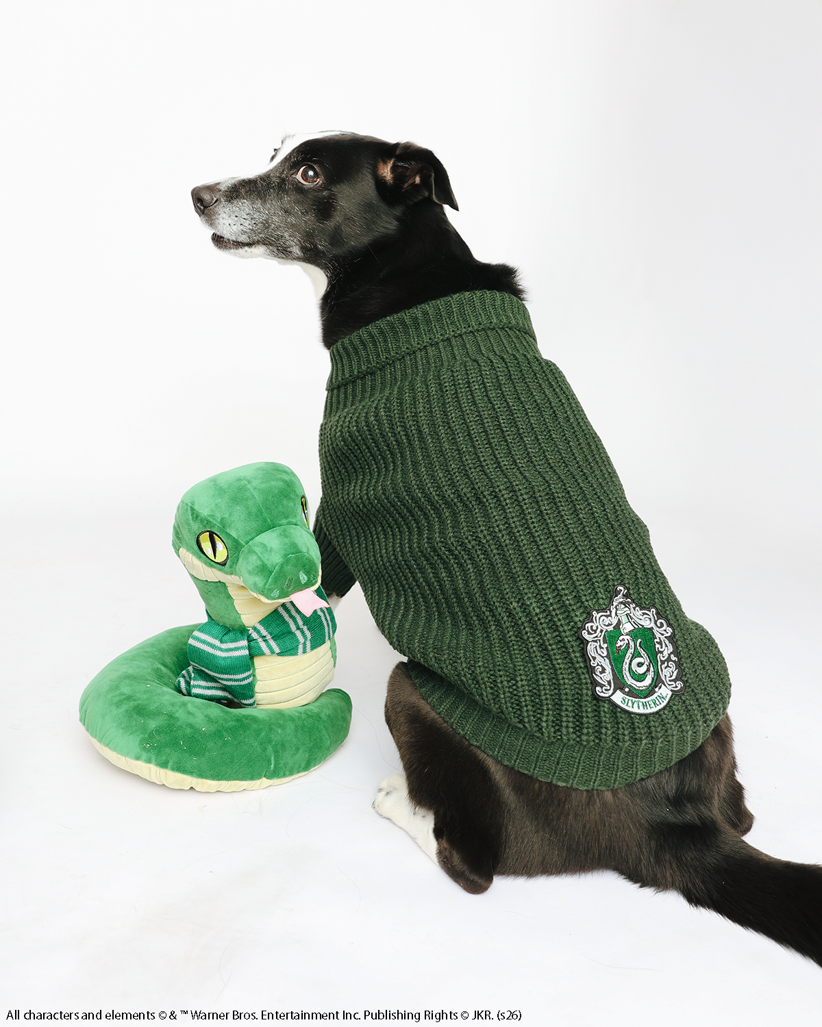 A black and white dog wearing the Sassy Woof Pet Cable Knit Sweater - Harry Potter™ Slytherin sits next to a plush green snake toy, both facing slightly to the side against a white background.