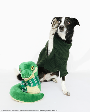 A black and white dog wearing the Sassy Woof Pet Cable Knit Sweater - Harry Potter™ Slytherin in green sits with one paw raised next to a green plush snake toy.