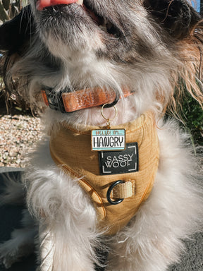 INFLUENCER_CONTENT | RESCUINGRUTHIE | SIZE S & XS