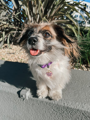 INFLUENCER_CONTENT | RESCUINGRUTHIE | SIZE S