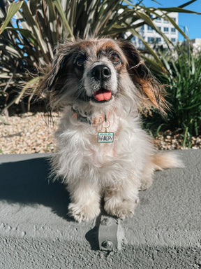 INFLUENCER_CONTENT | RESCUINGRUTHIE | SIZE S