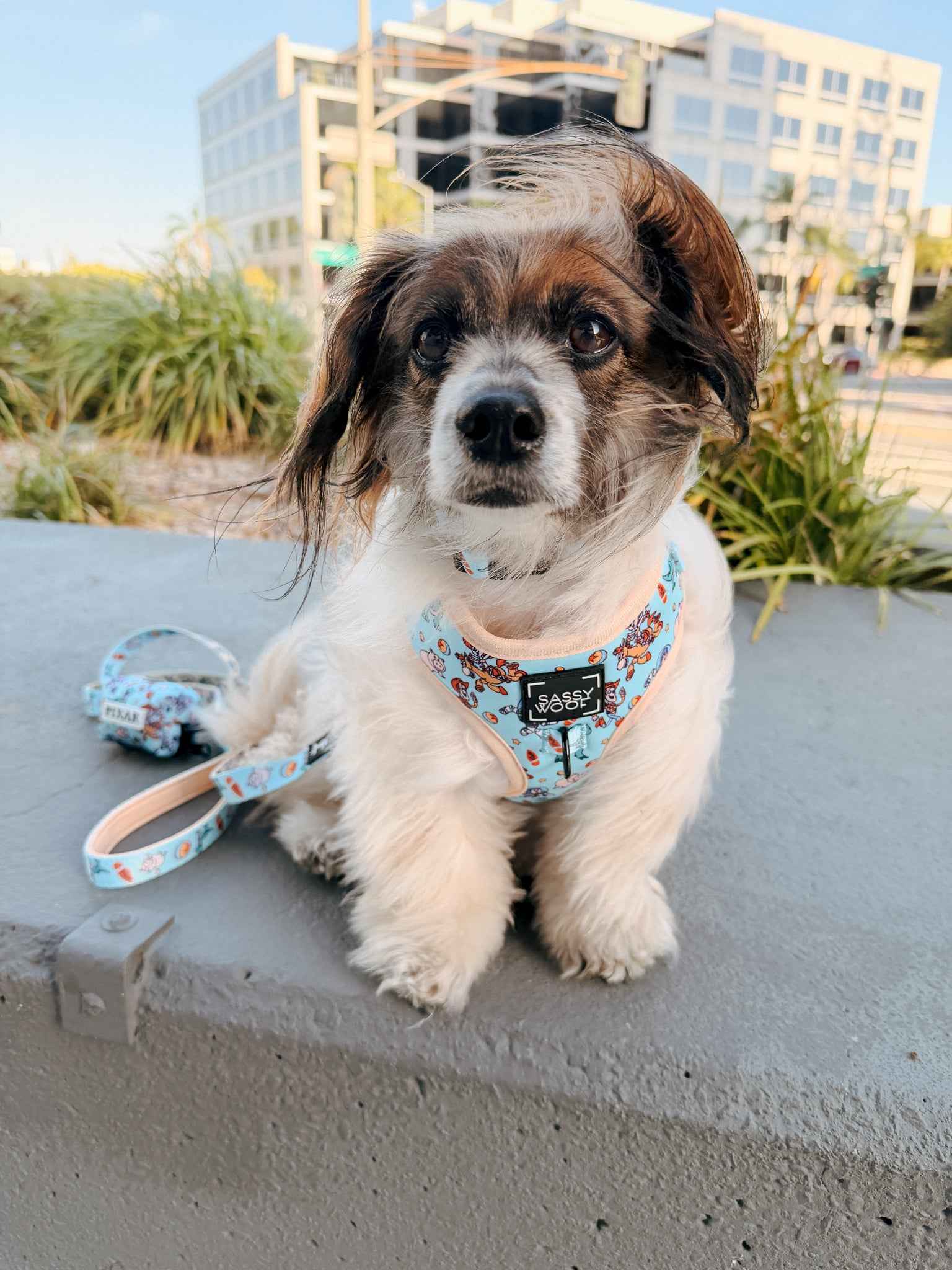 INFLUENCER_CONTENT | @RESCUINGRUTHIE | SIZE XS