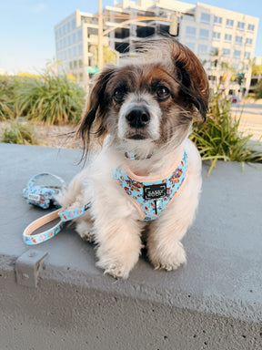 INFLUENCER_CONTENT | @RESCUINGRUTHIE | SIZE XS