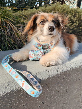 INFLUENCER_CONTENT | @RESCUINGRUTHIE | SIZE XS